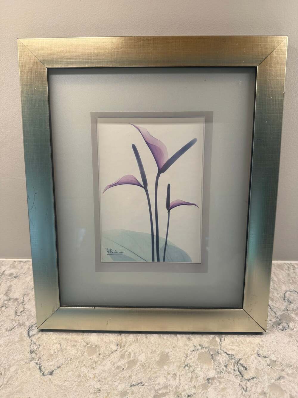 Signed Flamingo Portrait Premium Giclee Print by Albert Koetsier Framed 11x13.25